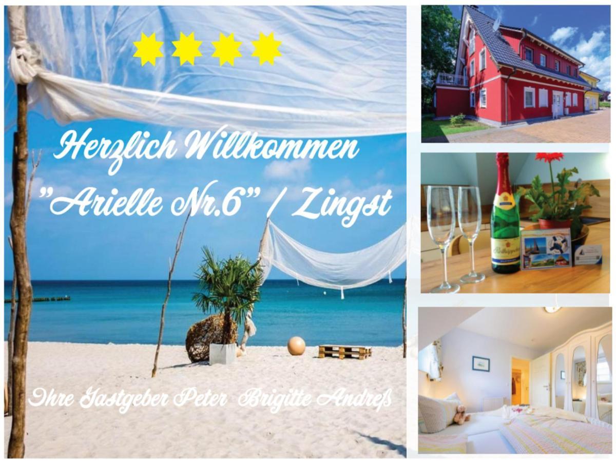 Ferienwohnung Arielle Nr. 6 Ostseeheilbad Ostseeheilbad Zingst Exterior foto