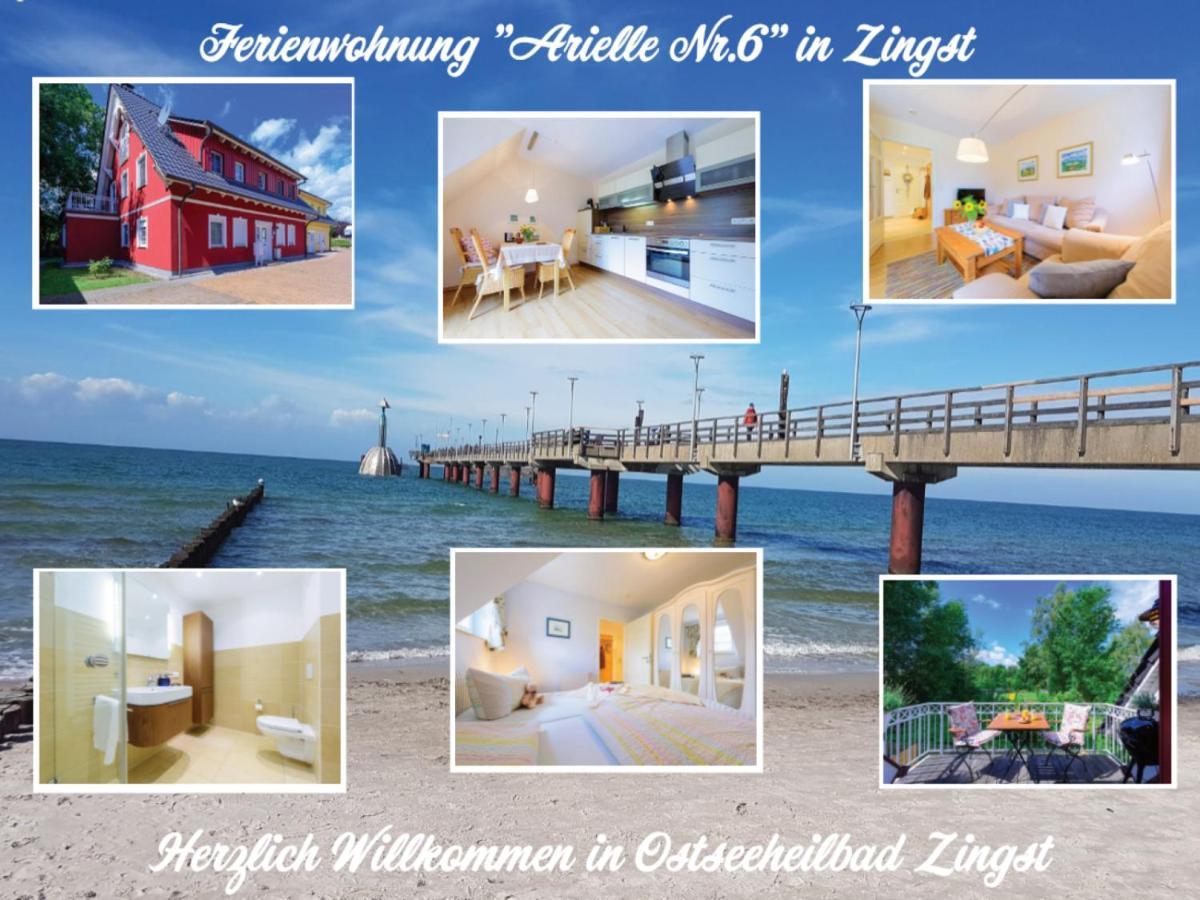 Ferienwohnung Arielle Nr. 6 Ostseeheilbad Ostseeheilbad Zingst Exterior foto